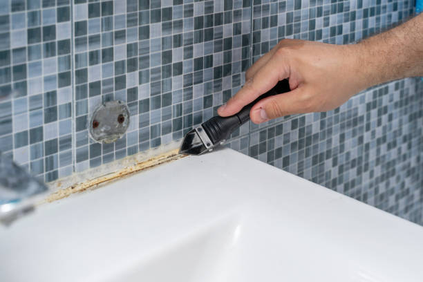 Best White Mold Remediation in Dale, IN